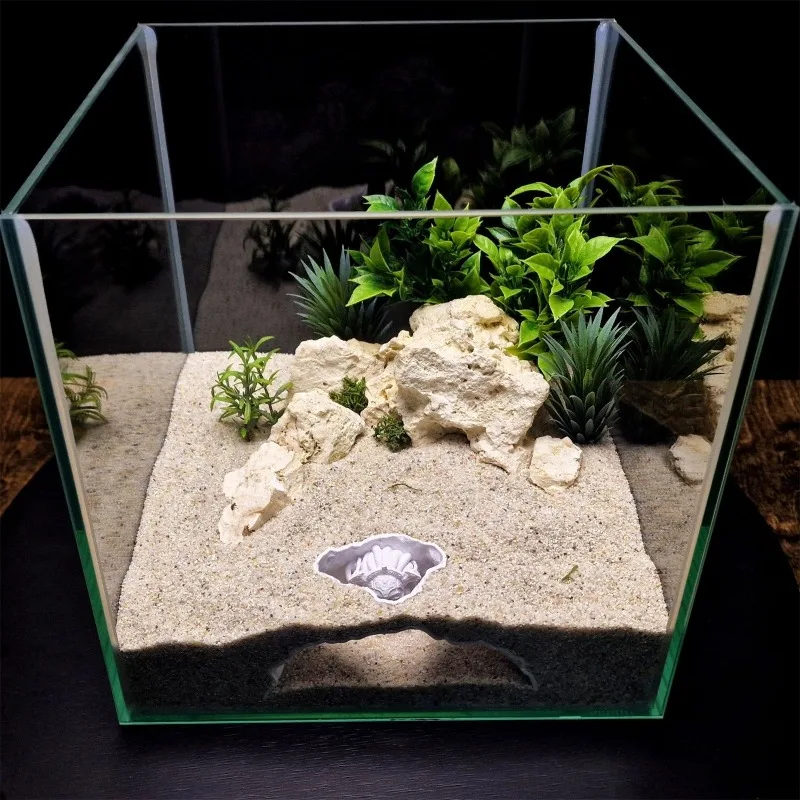 Thumbnail 3 - #4 Cheap Aquarium Decor Worth Buying