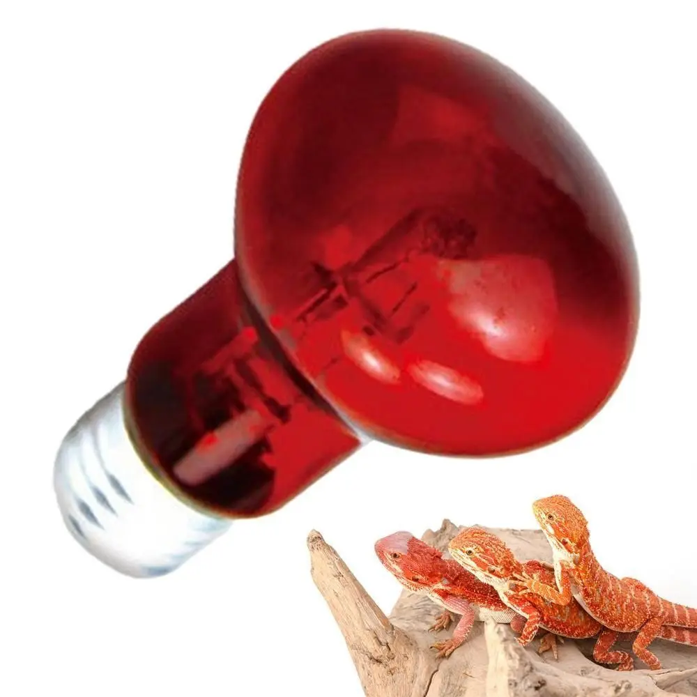 

Durable UVA Led Pet Heating Lamp Infrared Adjustable UVA Day Night Bulb 4 Kinds 220-230V Reptile Heat Bulb Reptiles