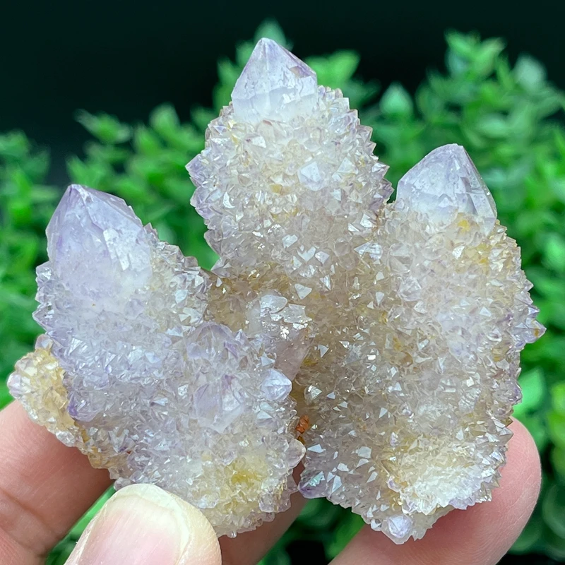 100% Natural South African Amethyst Cactus Quartz Crystal Cluster Gemstones and Crystal Healing Crystal Quartz Gemstones