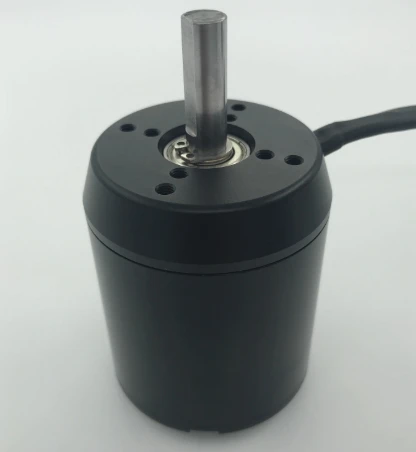 

Brushless External Rotor DC Motor Motor Inductless C6384