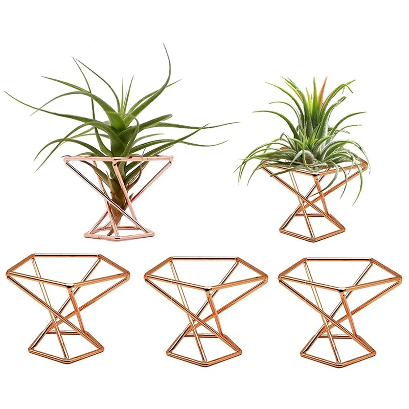 Pack 5 Air Plant Holder Air Plants Holders Tillandsias Display Air Purifying Plant Container Air Fern Stand