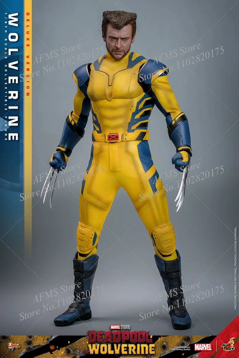 HOTTOYS HT MMS754 Figura colecionável em escala 1/6 Deadpool & Wolverine Hugh Jackman Wolverine 12 polegadas Figura de ação de soldado masculino