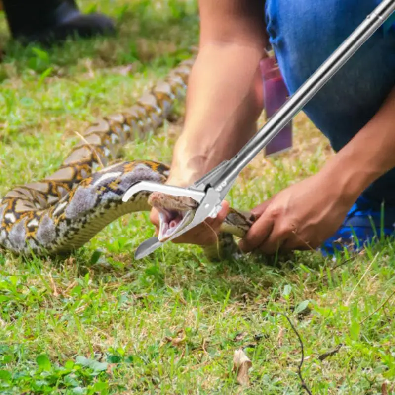 Imagem -03 - Foldable Extended Snake Tong Stick Handling Tool Catcher Stick Grabber para Caminhadas Aço Inoxidável