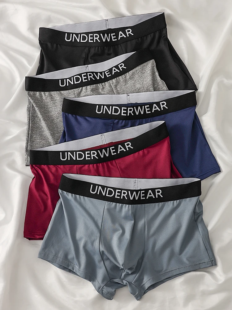 

Мужские боксеры из 5 предметов из полиэстера — стильный пояс «UNDERWEAR», удобные