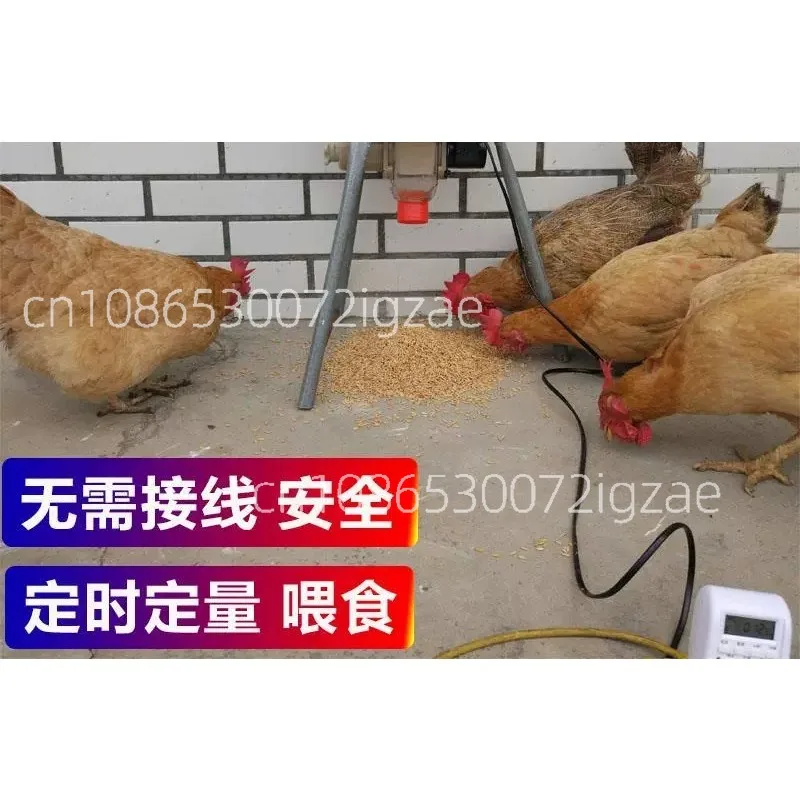 Automatic Chicken Feeder Pigeon Chicken Duck Carrier Pigeon Trough Intellegent Timing Automatic Chicken Feeder Pigeon Supplies