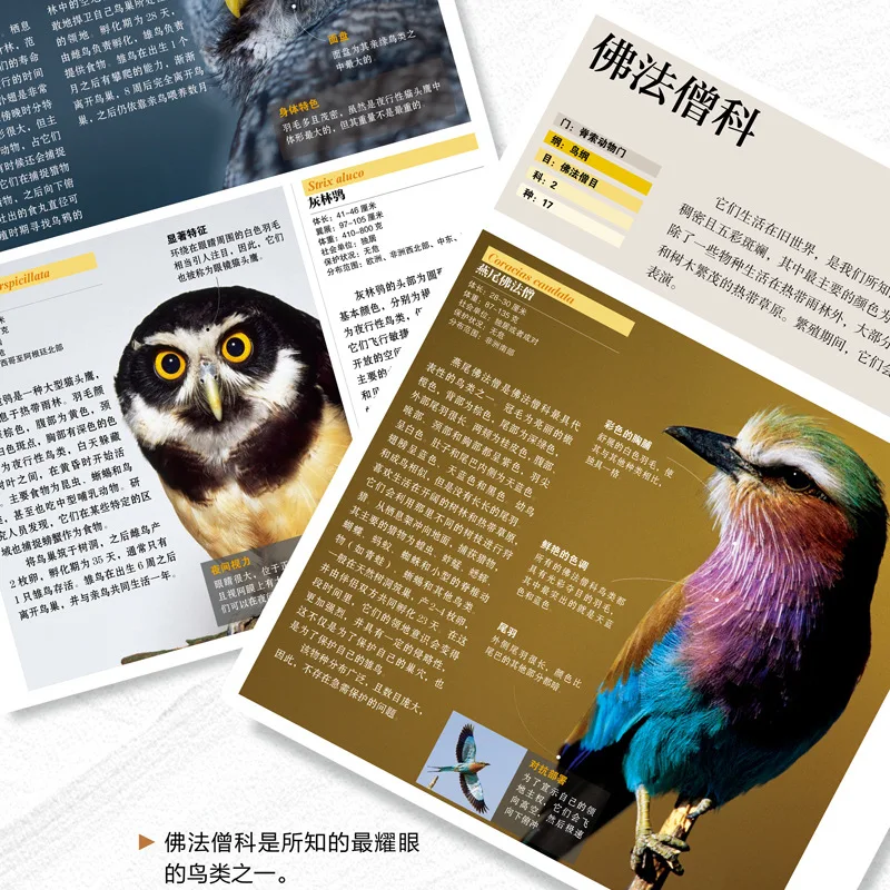 National Geographic Encyclopedia of Zoology, Children's Science Popularization, Fish, Crawler, Amphibian, Invertebrate