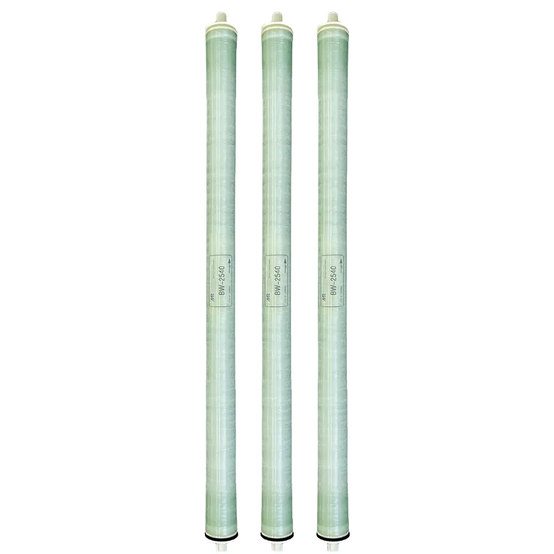 Bw2540 800 Gpd Brac… - image