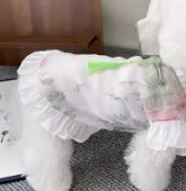 

Dog cat spring and summer new Chinese cheongsam sleeveless disc buckle satin national style skirt pony Xishi dog clothes thin