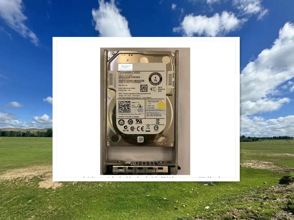 

For XKGH0 0XKGH0 1TB 7.2K SAS SED 6G 2.5 inch
