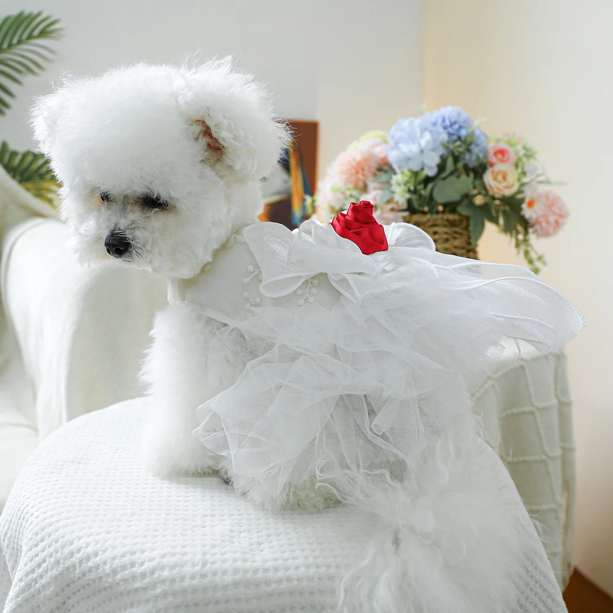 1PC Pet Clothing Spring and Autumn White Corolla Dress Wedding Dress Princess Dress Suitable for Small and Medium sized Dogs