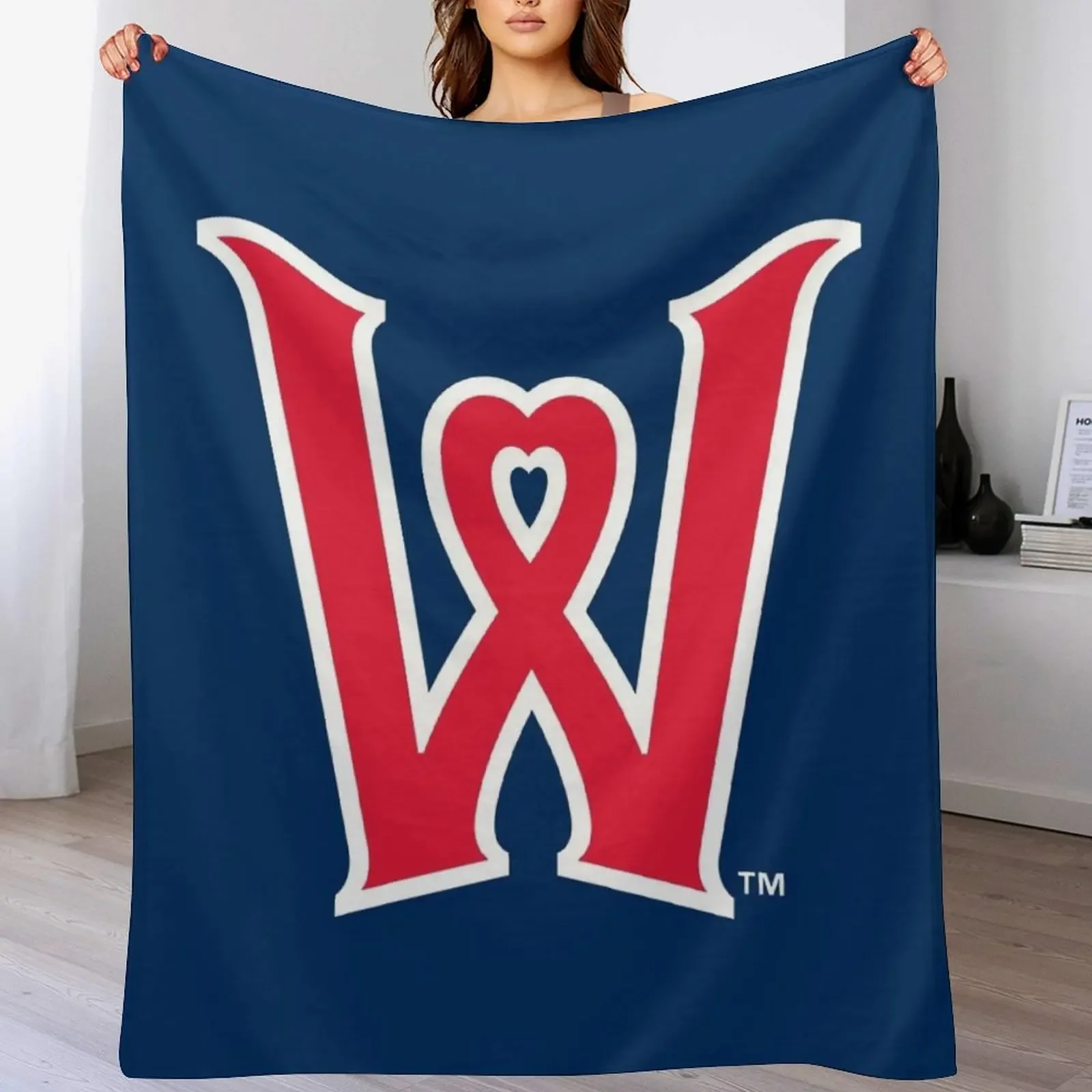

Worcester Red Sox Throw Blanket Plaid on the sofa Fashion Sofas Custom Soft Big Blankets
