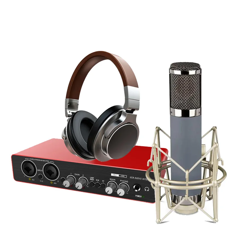 Voxfull VF818 Professional Audio 2 In 2 Out USB Audio Interface Recording Sound Card with Large Recording Mic