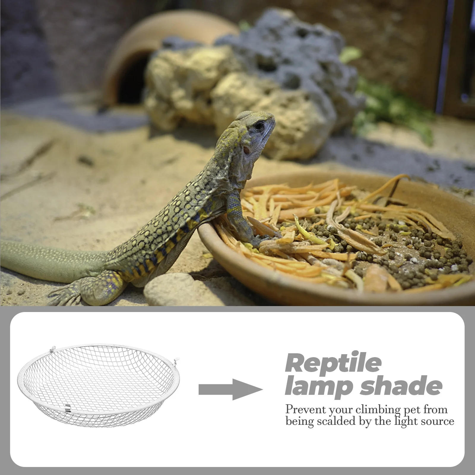 

Reptile Heat Lamp Cover Iron Anti Scald Metal Lampshade Protector for Reptile Box Terrarium Accessory Lizard Lamp Shade