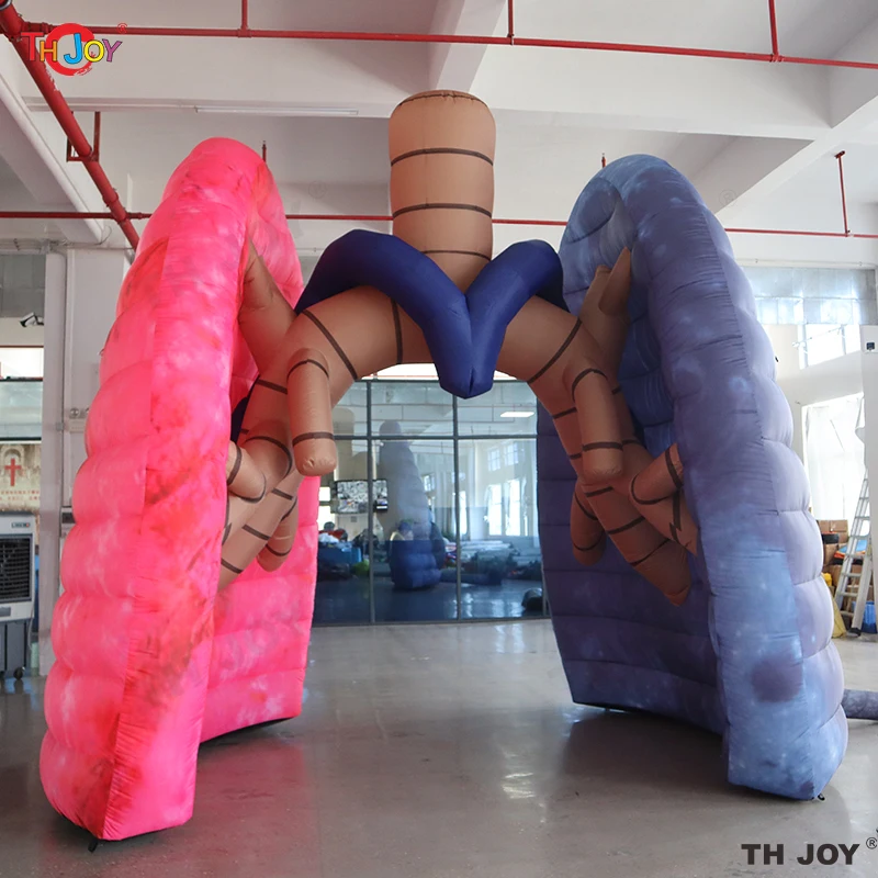 

Мега надувная модель человеческого легких высотой 4 м, школьное обучение, демонстрация органов человека, воздушный шар, медицинская активность