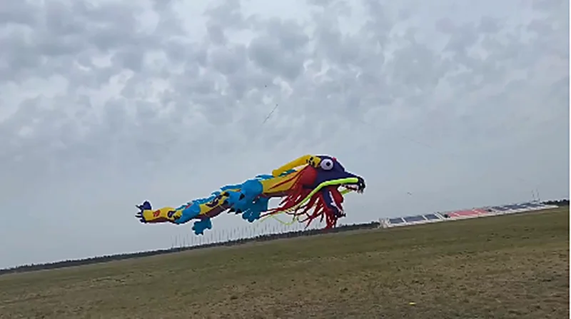 Free shipping 15m dragon kite flying for adults linha de pipa outdoor toy sports carretilha de pipa peonzas con cuerda large fun