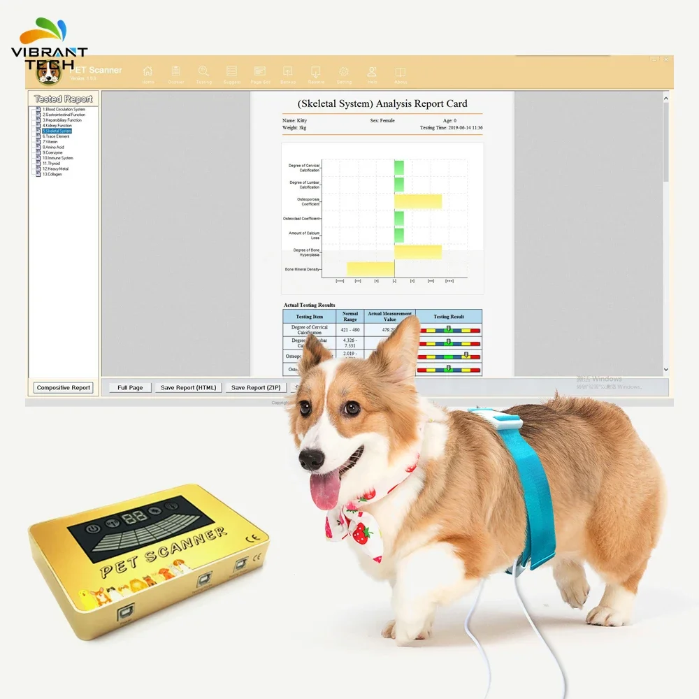 Most Popular Smart Health Analysis Firmware Quantum Machine For Dog,cat