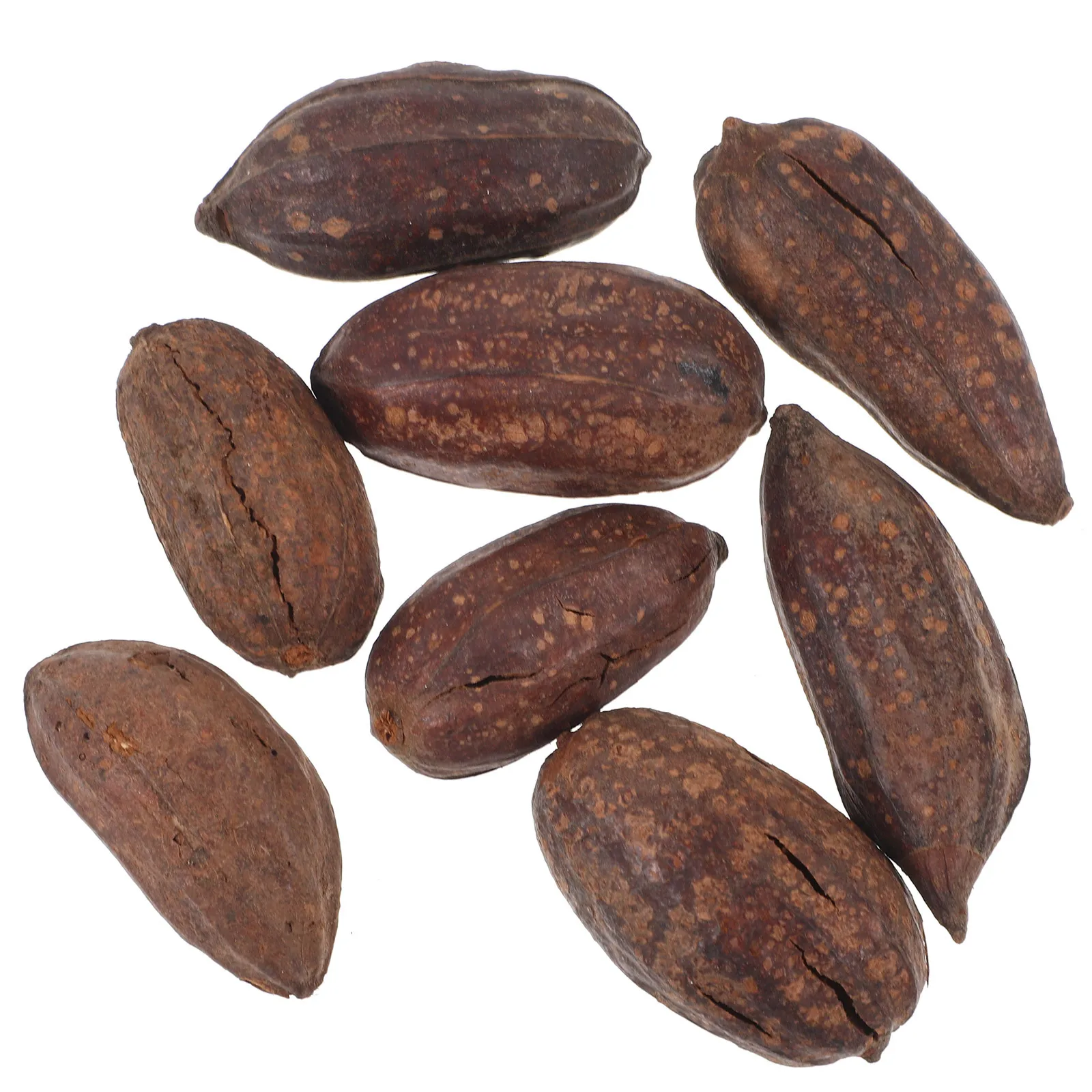 

8Pcs Dried Fruit Bird Chewing Natural Parrot Foraging Accessories Fun Supplies for Budgie Parakeet Cage Parrot Foraging