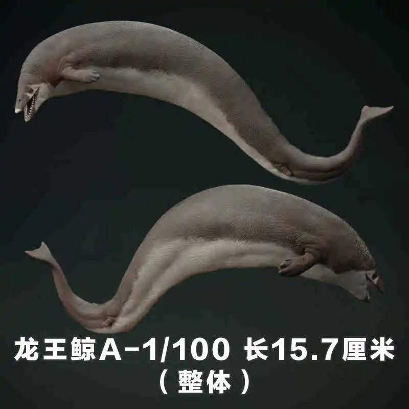 1/35 15cm Basilosaurus Model Toy Ancient Extinct Life Dinosaur Model Gk Customize Archaeoceti Ancient Whale