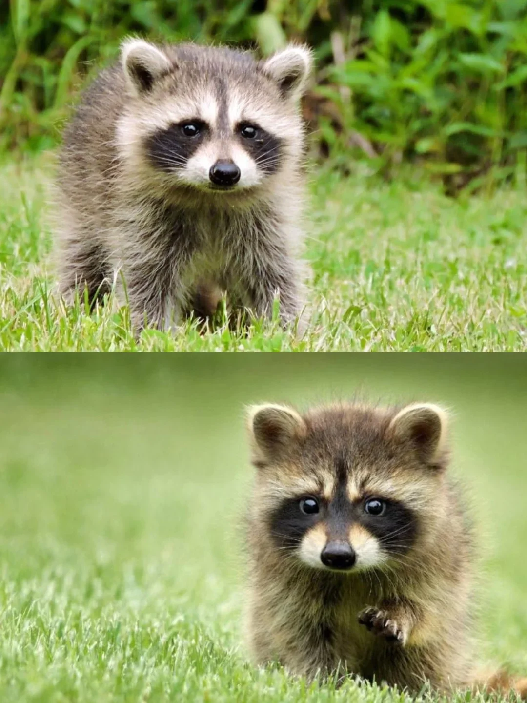 

For Mazda Family 323 BJ 1998 1999 2000 2001 2002 2003 Car Dashboard Mat Sun Shade Instrument Desk Non-slip Cover Accessories