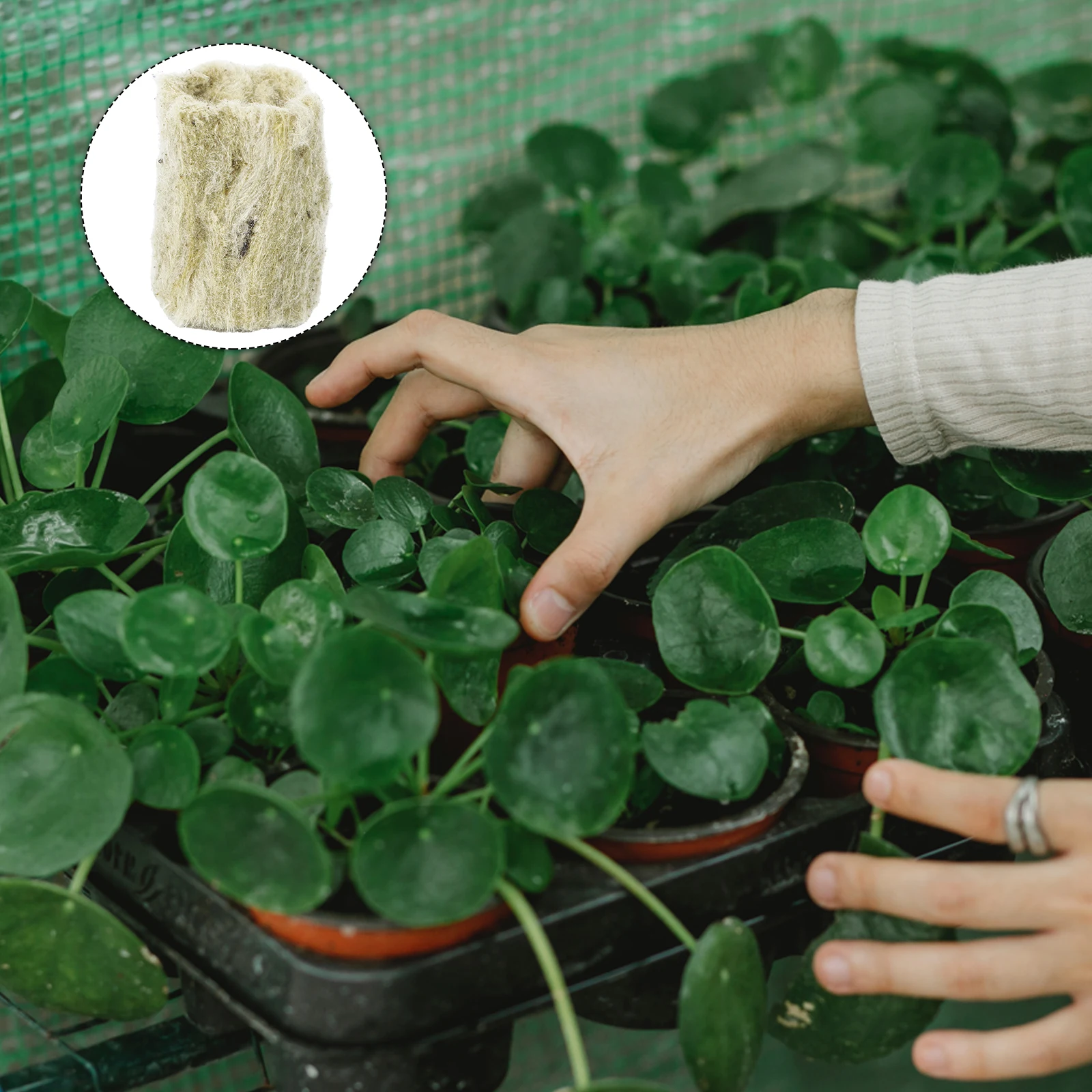 

20pcs Plug for Seed Sprouting Hydroponic Soilless Cultivation Greenhouse Vegetable Planting Base Gardening Tools