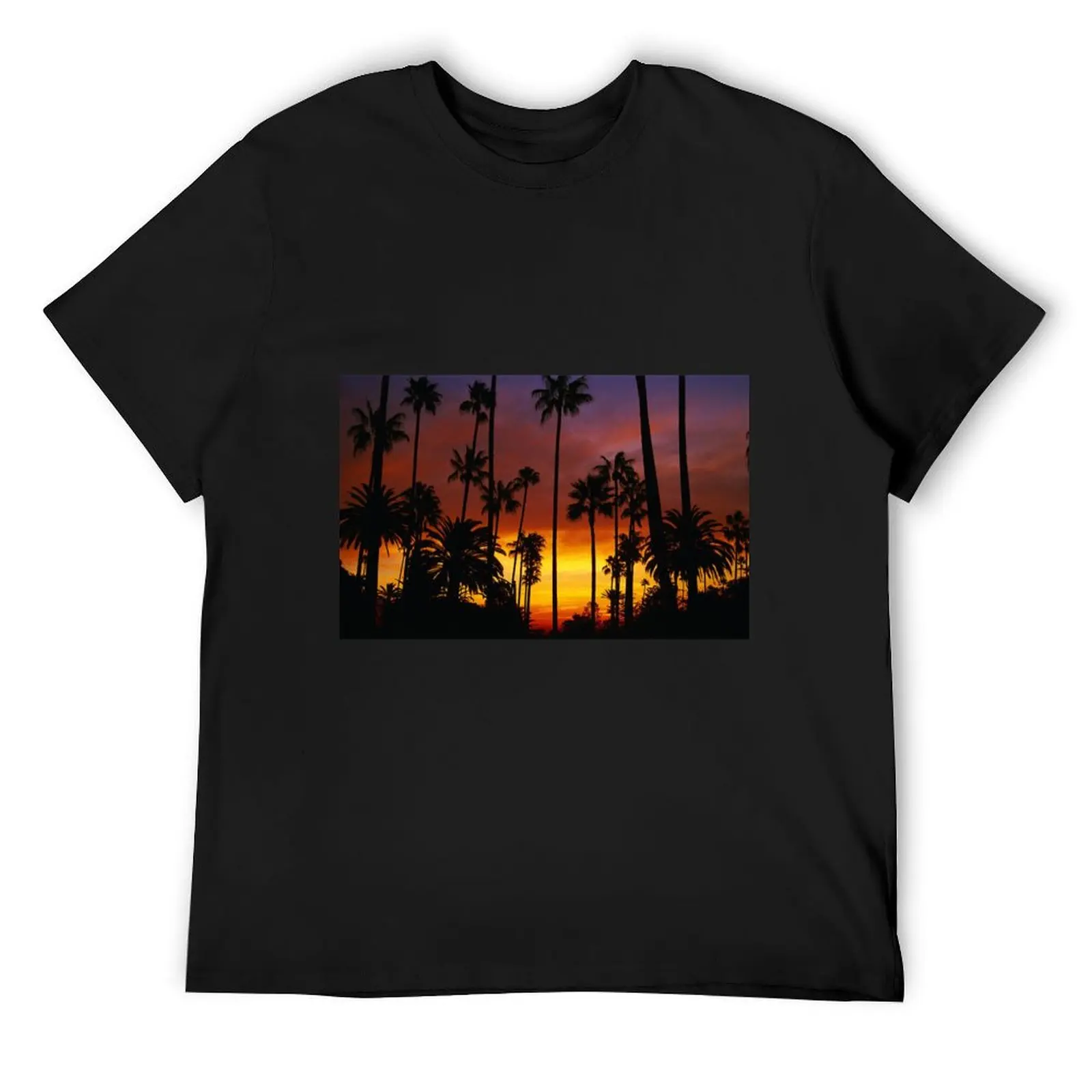 

Hotel California T-Shirt T-Shirt croswit shirt man Anime t-shirt Personalized funny gifts mens graphic t-shirts funny