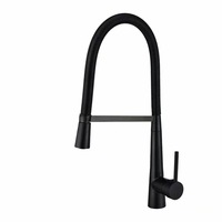 Solid Brass Plating Gold Kitchen Faucet 360 Ronating Sink Tap Cold Hot Kitchen Mixer Tap Black Brass Kitchen Spring Faucet