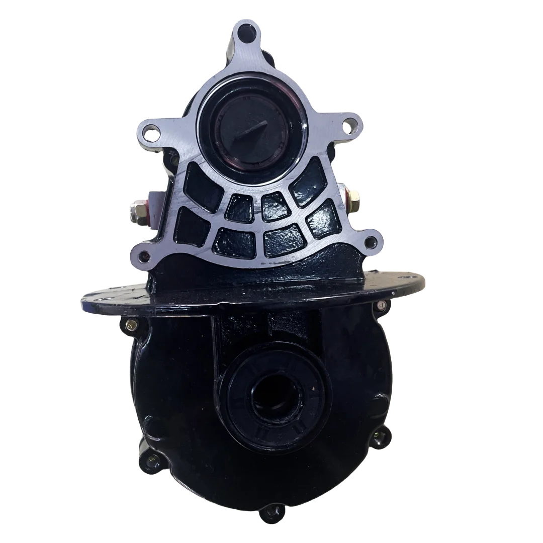Hot Selling Gear Box Electric Scooter Tricycle Drives Parts to Climb and Change Gear Differential
