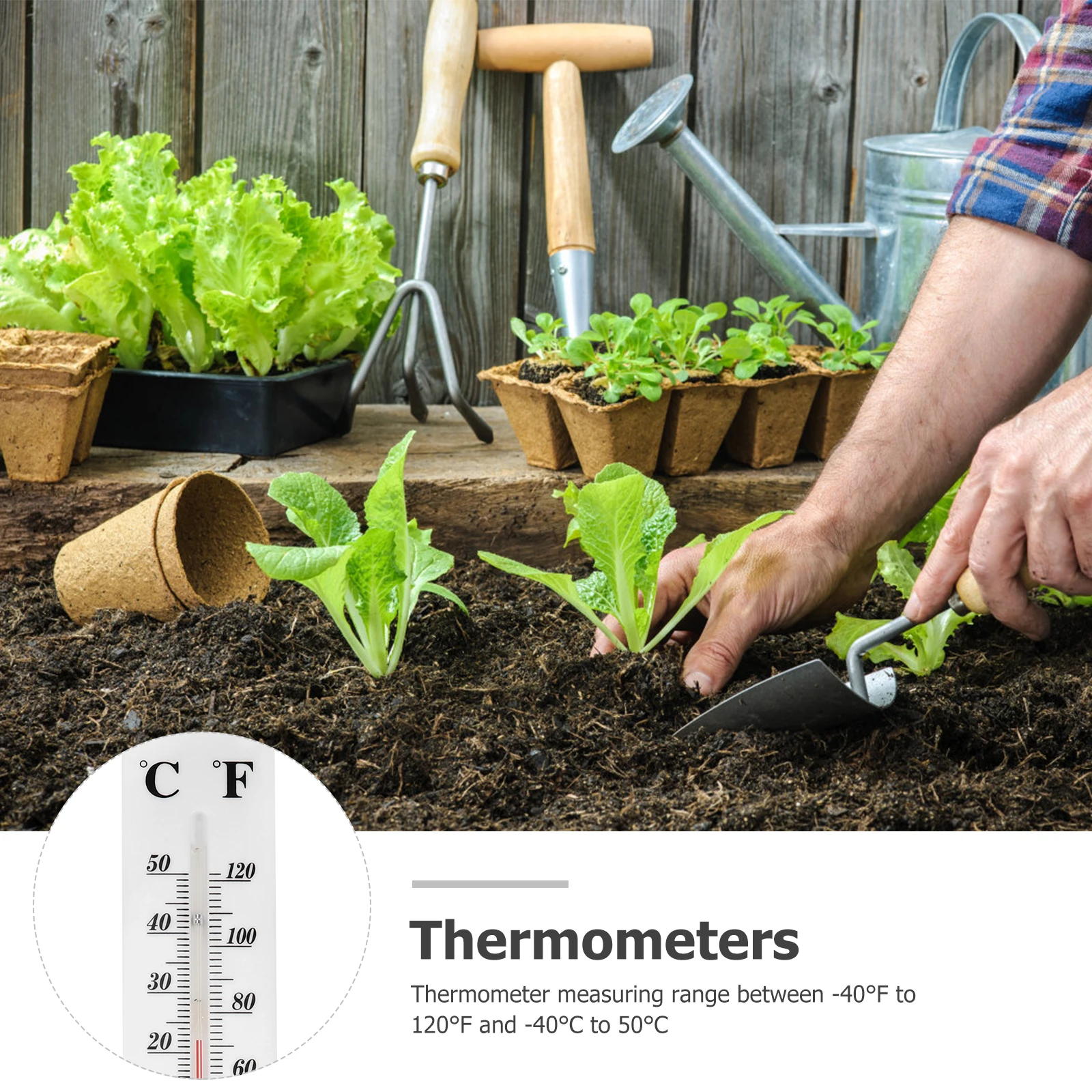 

4Pcs Teaching Thermometers Plastic Panel Red Glass Core Dual Scale Celsius Fahrenheit for School Science Projects Safety