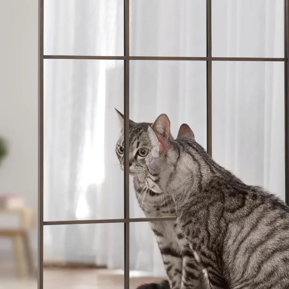 Specchio artistico da parete a figura intera in bronzo, specchio da appendere pendente pendente da pavimento decorativo in stile fattoria 65x24