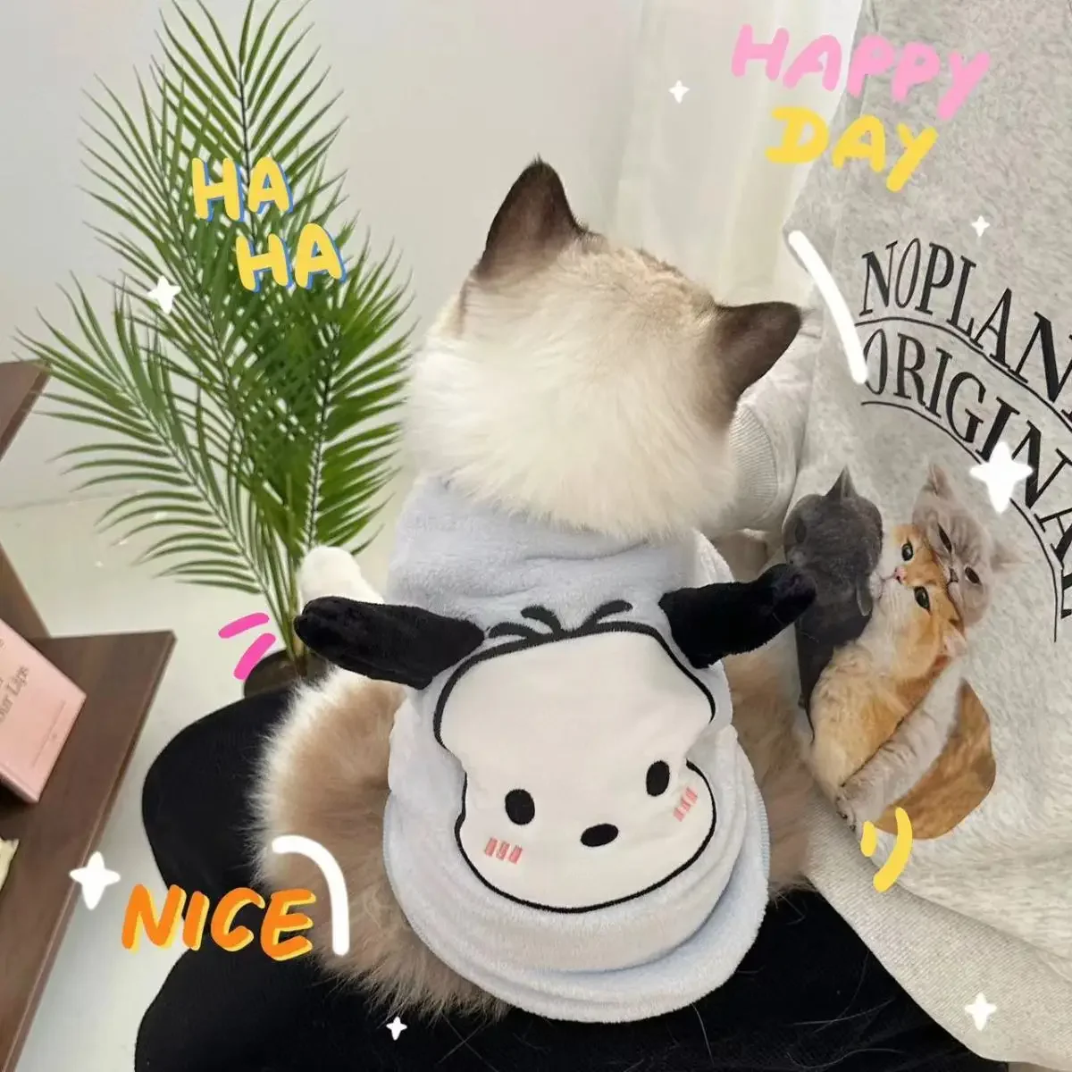 

Sanrio Kawaii My Melody Warm Pet Clothes Pochacco Anime Cartoon Lovely Fashion Exquisite Ins Style Good Looking Dog Cat Clothes