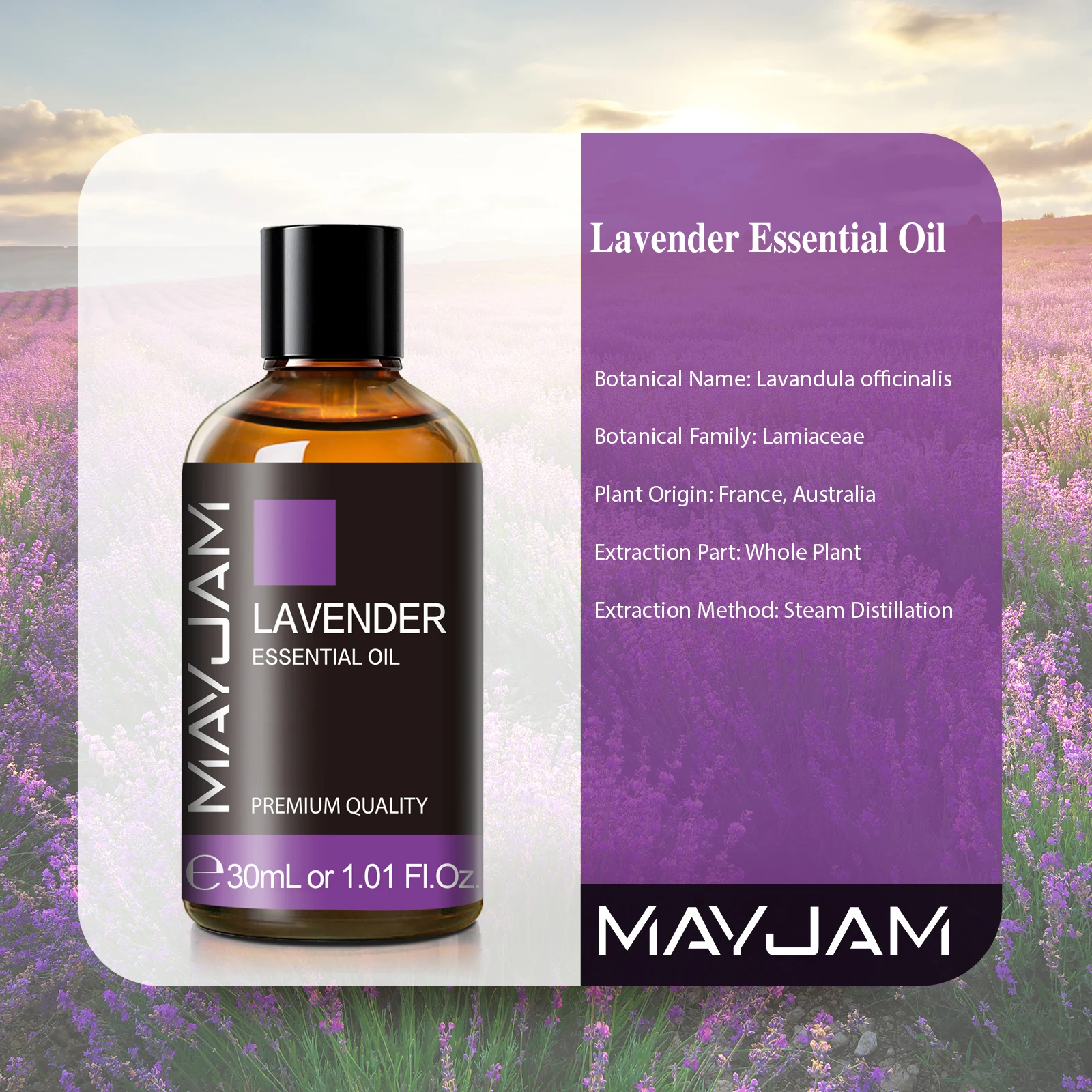 MAYJAM-aceite esencial para difusor, aceite aromático de lavanda, eucalipto, jazmín, vainilla, Sándalo, pachuli, limón, rosa, manzanilla, 30ML