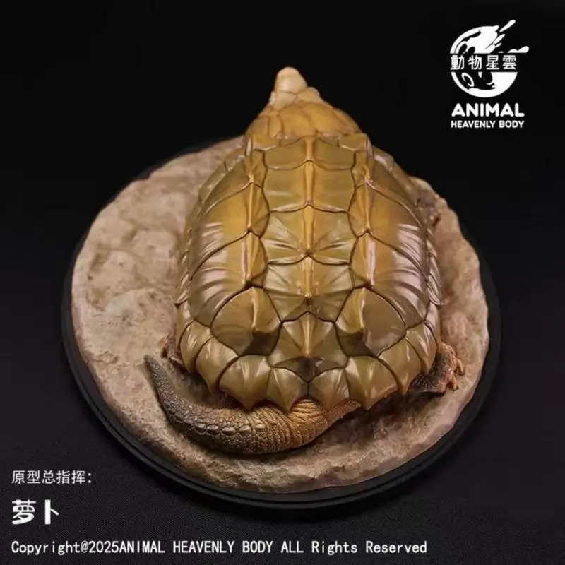 ANIMAL HEAVENLY BODY - Figura Realista de Cocodrilo y Tortuga, Modelo de Escena, Serie de Adornos, 1.ª Estatua de Animal, Regalo Festivo