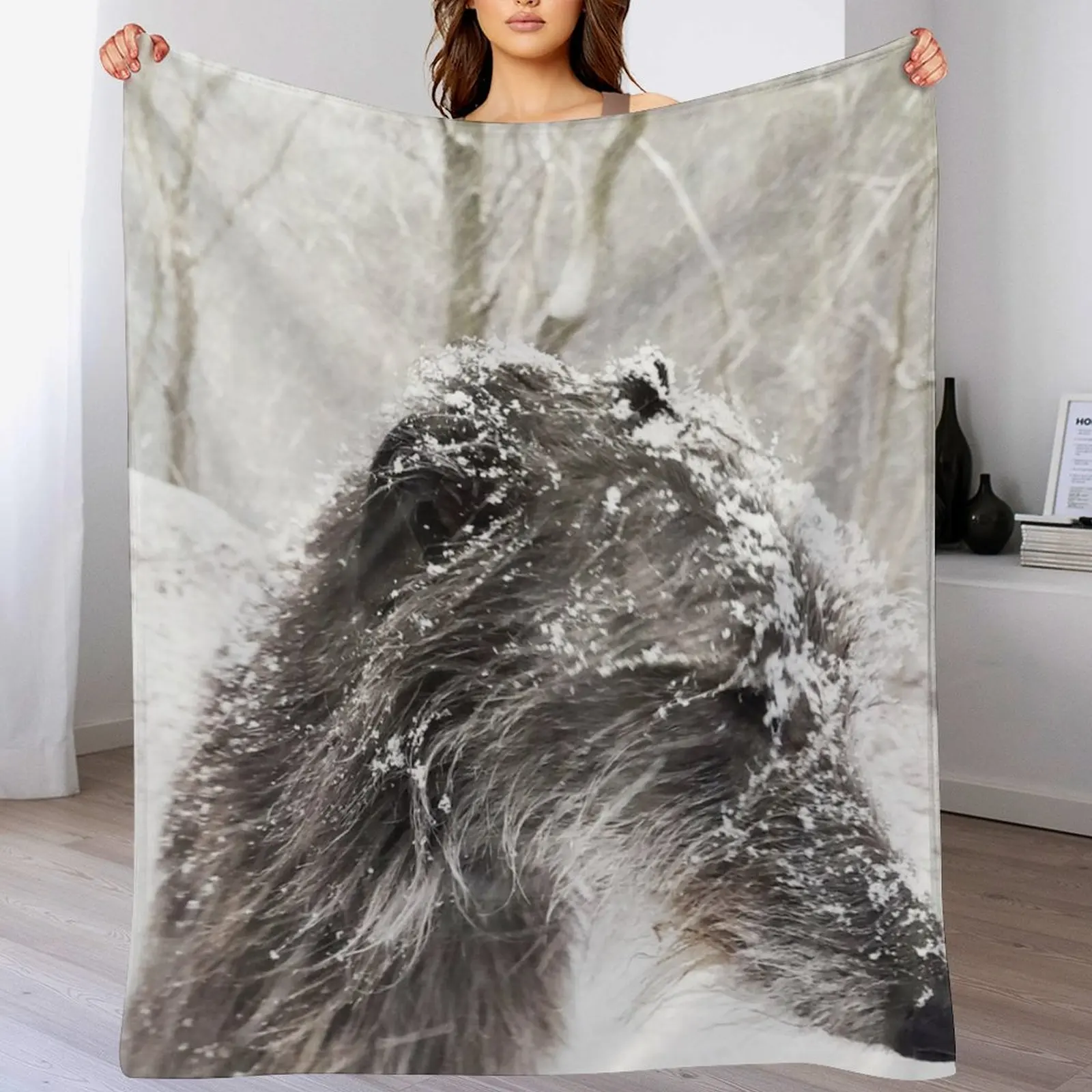 

Isla In the bleak winter Throw Blanket All Season Lightweight Soft Blanket for Bed