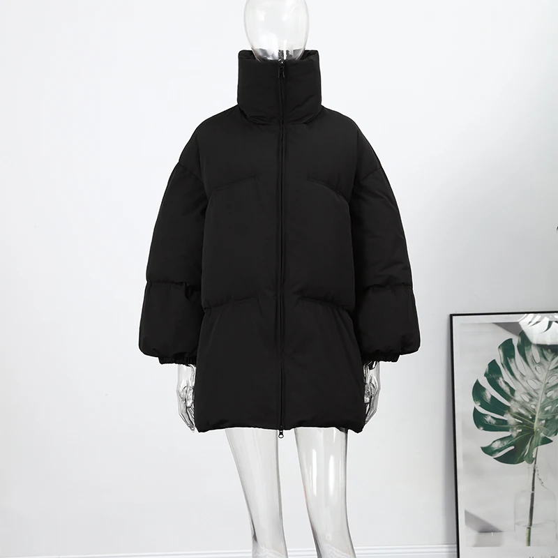 厚手の綿コート レディース カジュアル スタンドカラー 長袖 ポケット付き ジッパー ジャケット 女性用 2025年 冬 暖かい アウター レディース 新作