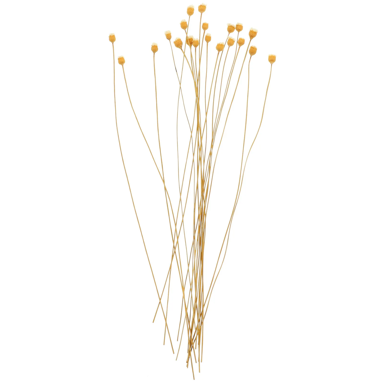 20 قطعة من أعواد الناشر القصب الزهري الآمنة للزيوت العطرية وزجاجة عطر بديلة وعصي الناشر #5