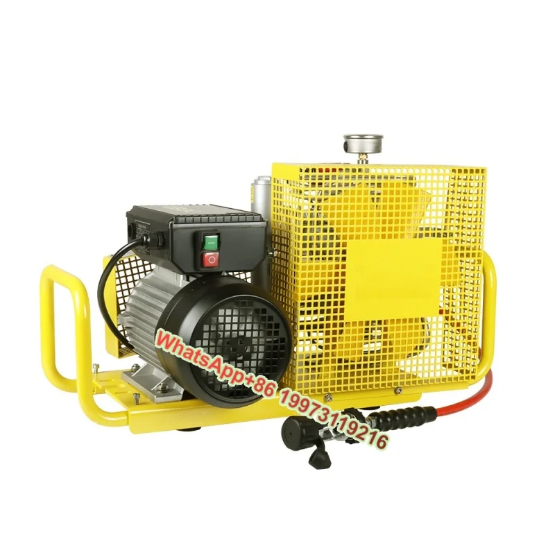 

Hot Sale 2.2kw Manual Stop Air Compressor Four Cylinder Reciprocating 300bar/4300psi High Pressure for Snorkeling Gear 220v