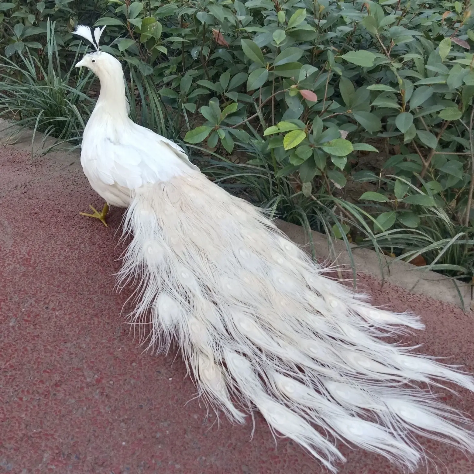 

cute simulation peacock model foam&feather white peacock bird gift about 80cm d0482