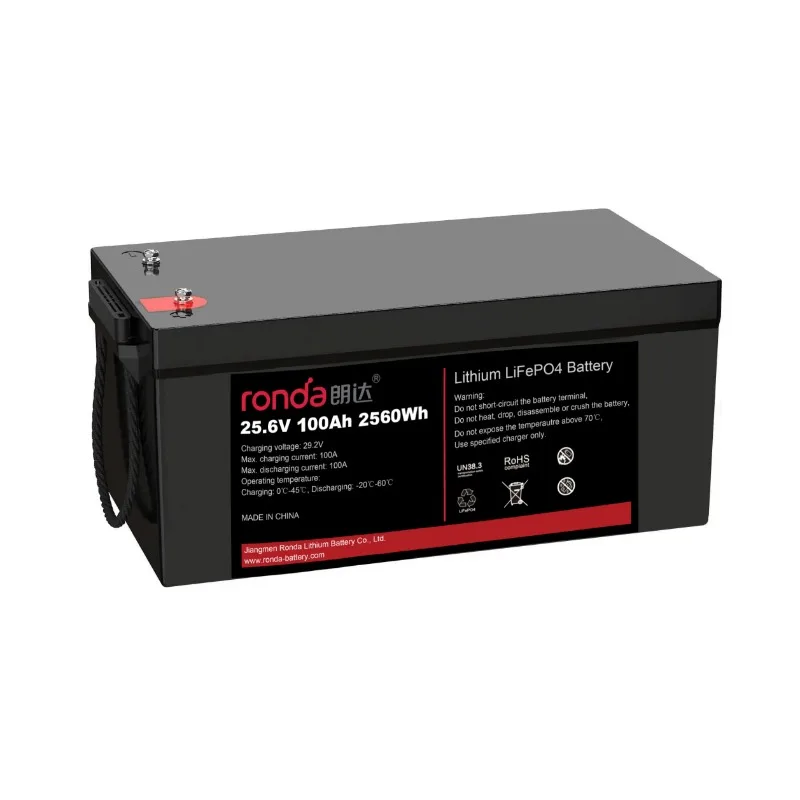 CE 24V 25.6V Ronda Large Capacity 100AH 200AH 300AH Lithium Battery Pack BMS LiFePO4 Prismatic Box
