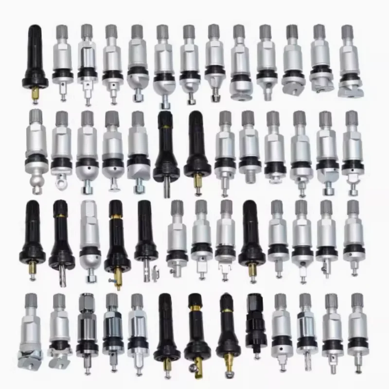 4 Pcs/Lot TPMS Tire Valve for GWM HAVAL Tubeless Valve for Tyre Pressure Monitoring System Sensor Repair Kit