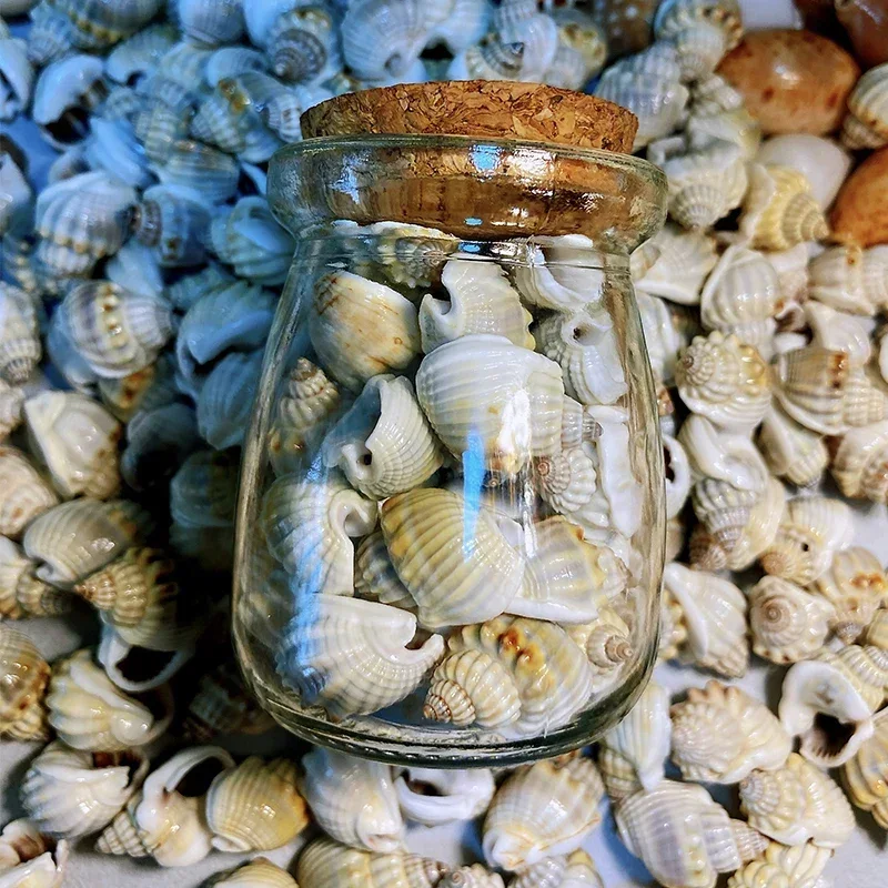 About 30 Blue-gray Thick-mouthed Snails about 2 Cm in Drifting Wishing Bottle