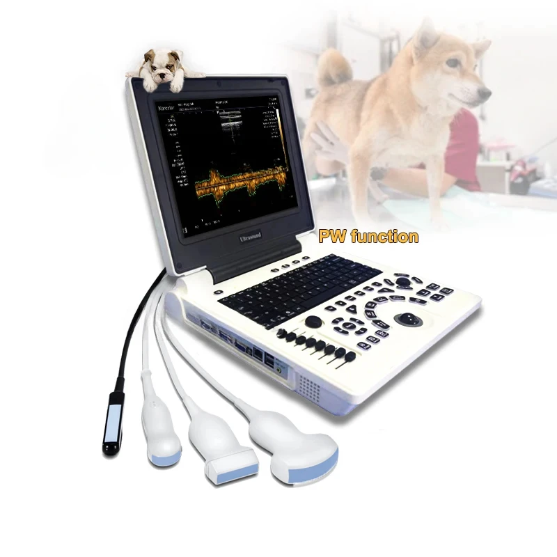 رخيصة الثمن PW عيادة بيطرية التشخيص نظام الموجات فوق الصوتية دفتر 3D Ultrasonido Vet الموجات فوق الصوتية السعر