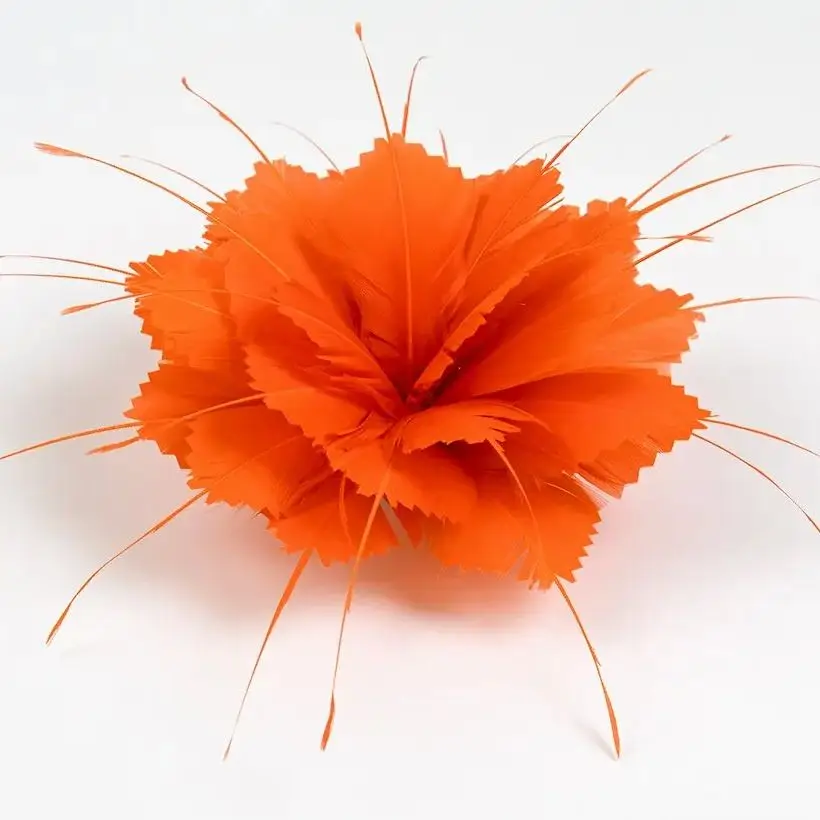 

1piece of natural beautiful feather tassel corsage headdress wedding birthday party dress decoration supplier feather crafts