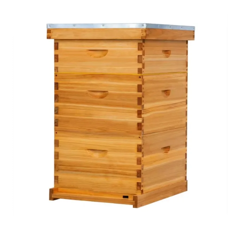 

3-Layer Complete Langstroth Beehive Starter Kit 10 Frame New Condition Beekeeping Equipment