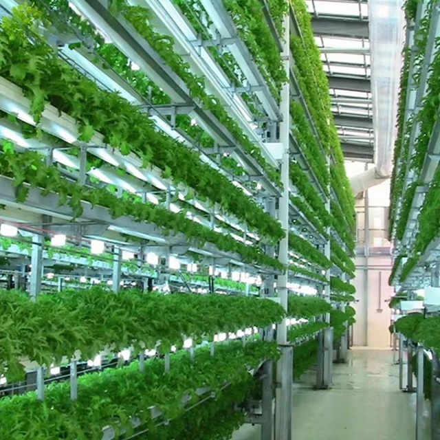 Vertical Farming Equipment Indoor Hydroponic System Plant Growing Rack Agricultural Serre Agricole Invernadero
