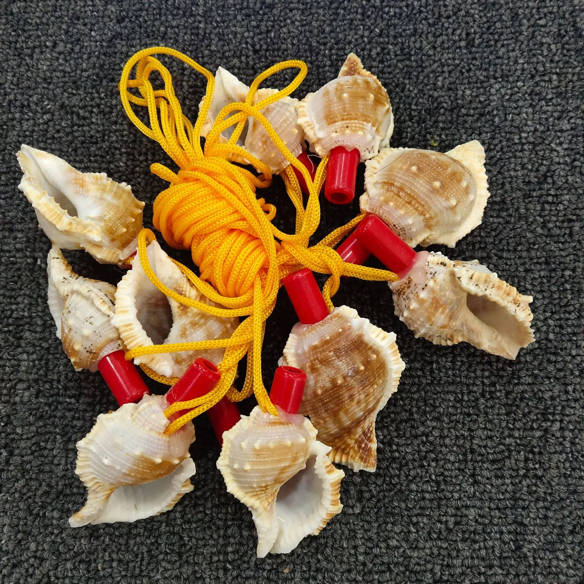 wholesale Conch Shell Children's Toy Sea Screw Whistle Marine Horn Conch Horn