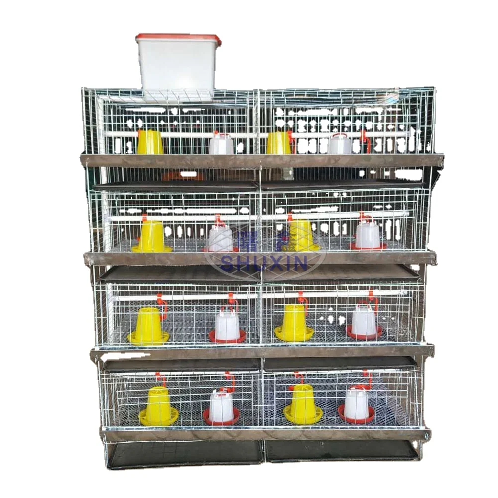 

H Type Battery 3/4 Tiers 60 to 320 Birds Capacity Poultry Farming Galvanized Long Time Used Brooder Chicken Cage