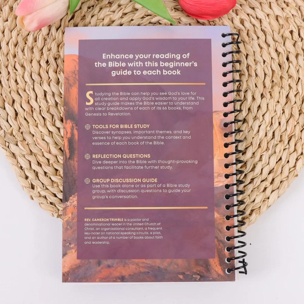 Bibbia preparata semplice: guida per principianti a tutti i 66 libri con temi, lezioni e intuizioni spirituali