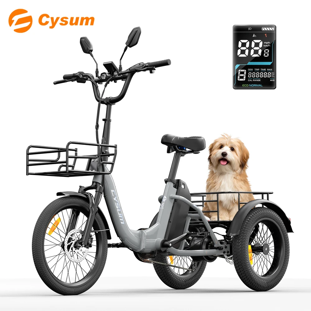 Electric Tricycle 750W Motor 48V 20AH Remover Lithium Battery Foldable 3 Wheel Electric Bike 16 Inch Fat Tire 100km Ebike