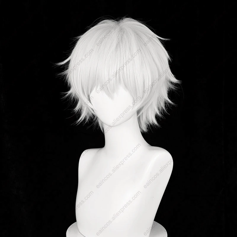 Anime Ken Okeki Cosplay Perruques, Perruques Courtes Pelucheuses, Argent Blanc, Degré de Chaleur, Cheveux Synthétiques, Halloween Py Play, 30cm