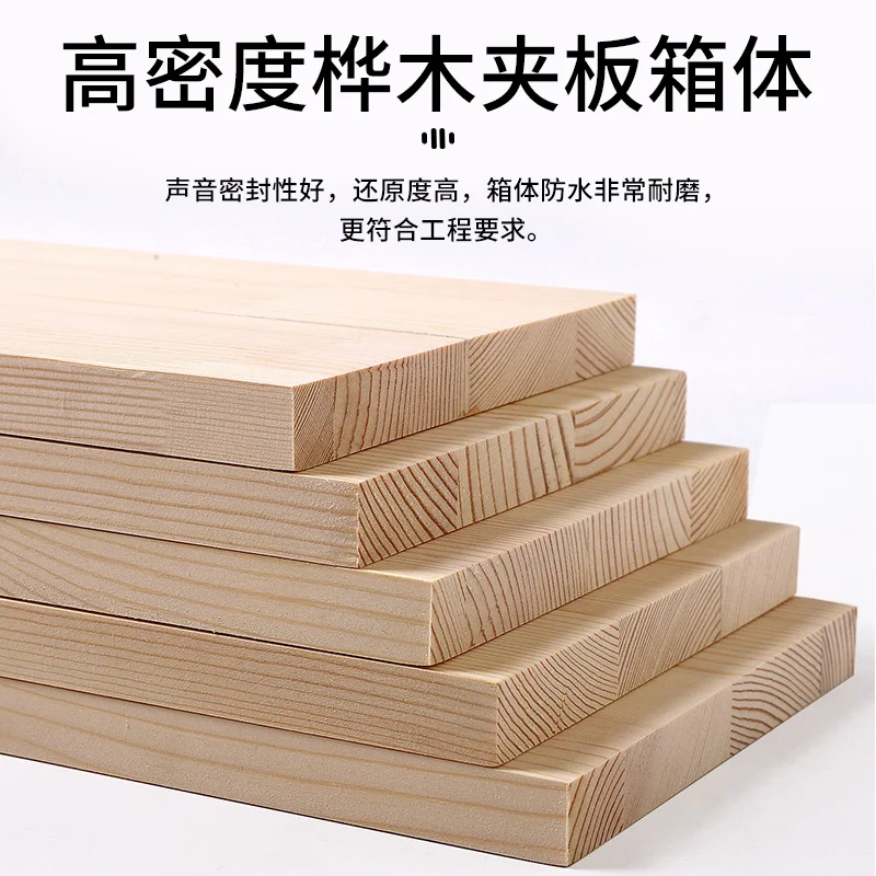 Professional KTV Áudio e Vídeo Stage, Home Meeting Room, 10"